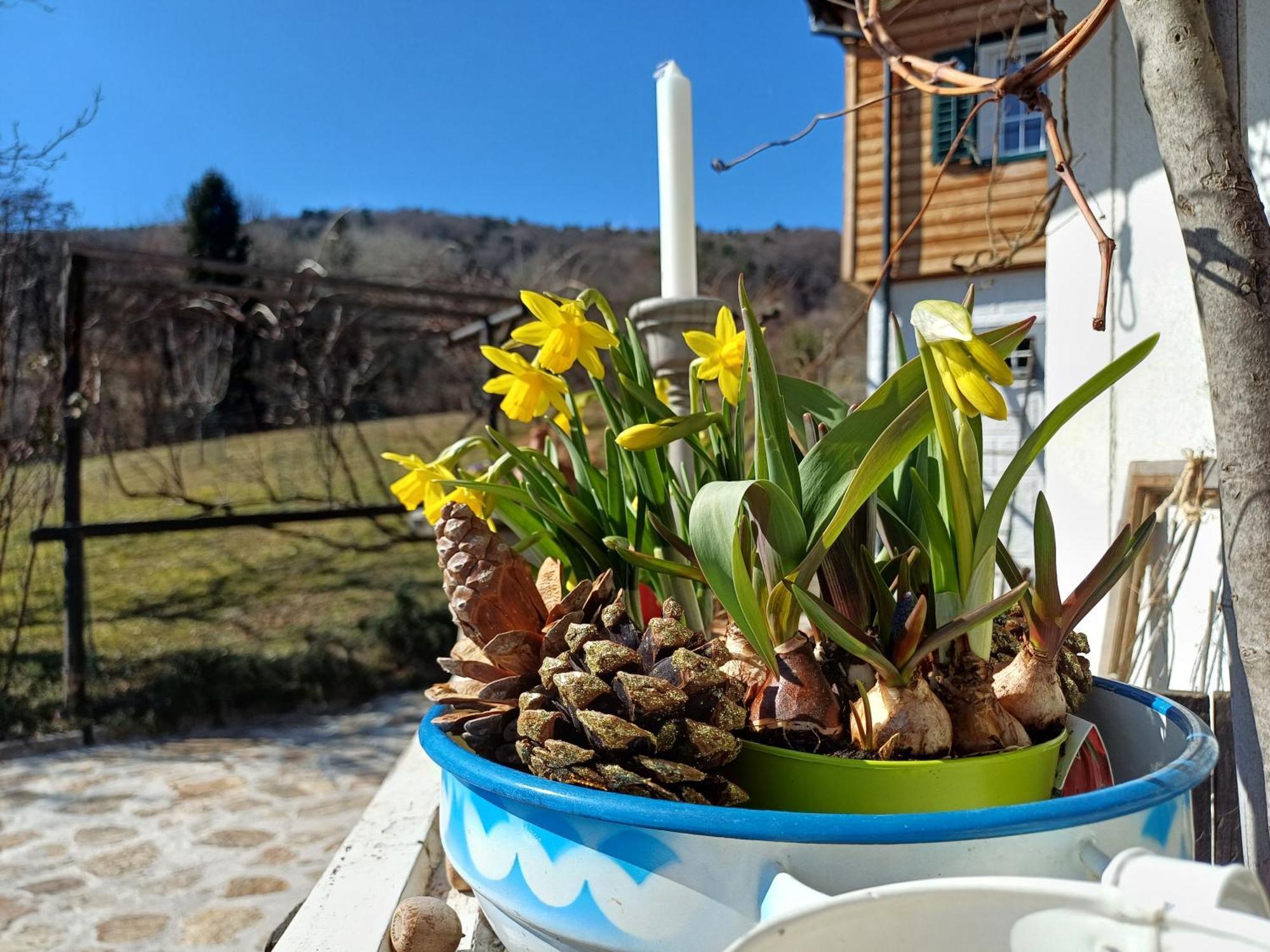Tiny Lavender House Blütenstöckl